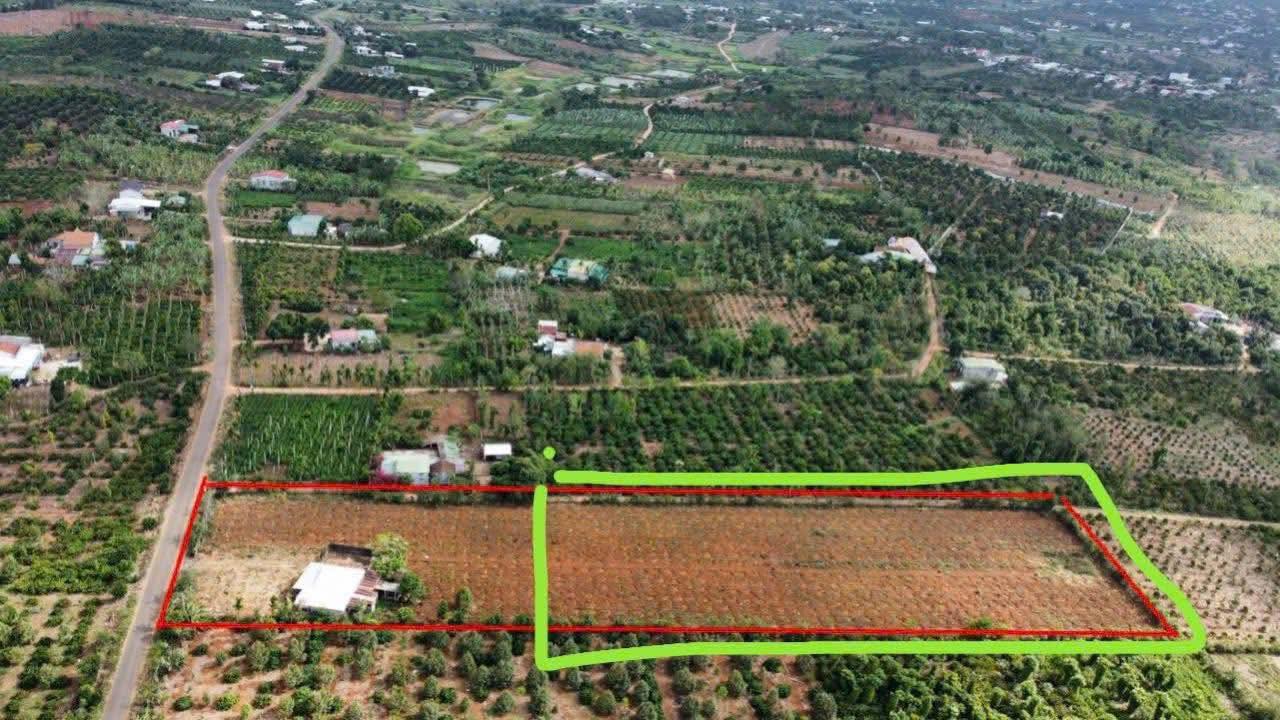 Đất nền Xuân Phú, Ea Kar 6000m² giá 1.599 tỷ - Đầu tư sinh lời ngay!