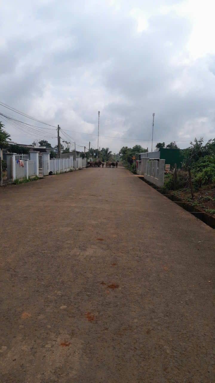 Đất nền Lý Chính Thắng, Buôn Ma Thuột 500m² giá từ 100 triệu - Cơ hội đầu tư tuyệt vời!