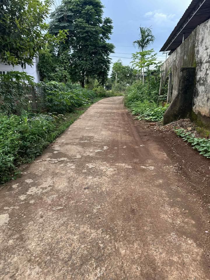 Đất nền Phước An 1036m² giá thỏa thuận - Đầu tư lý tưởng!