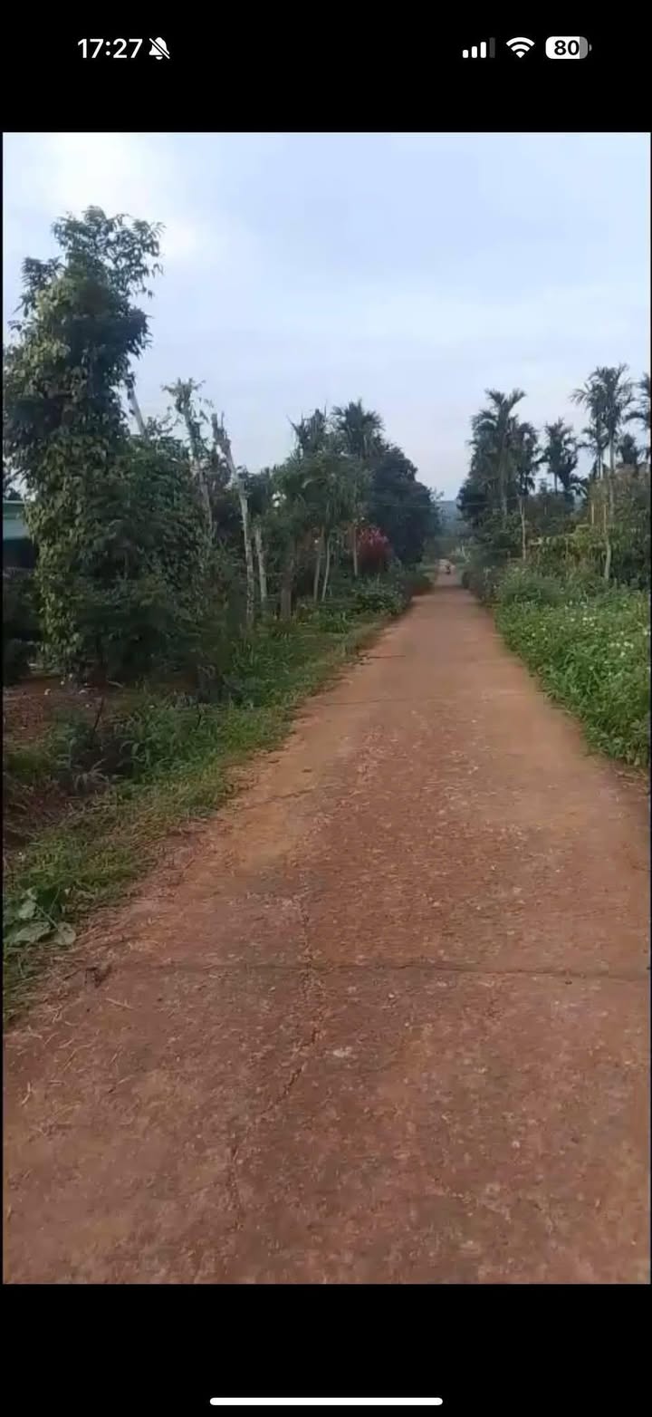 Đất nền Phú Xuân 500m² giá 5 tỷ - Cơ hội đầu tư hiếm có!