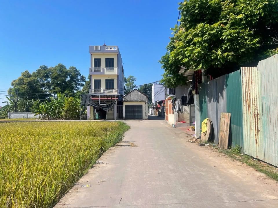 Đất lô góc Nội Hoàng 206m² giá 5 tỷ - Đầu tư sinh lời ngay!