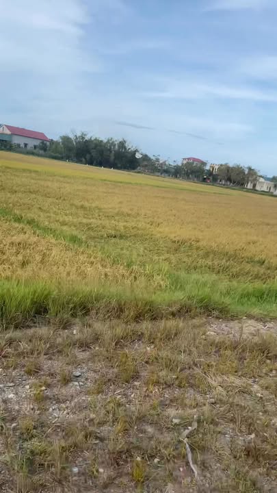 Đất nền Cẩm Hà 220m² giá thỏa thuận - Cơ hội đầu tư tuyệt vời!