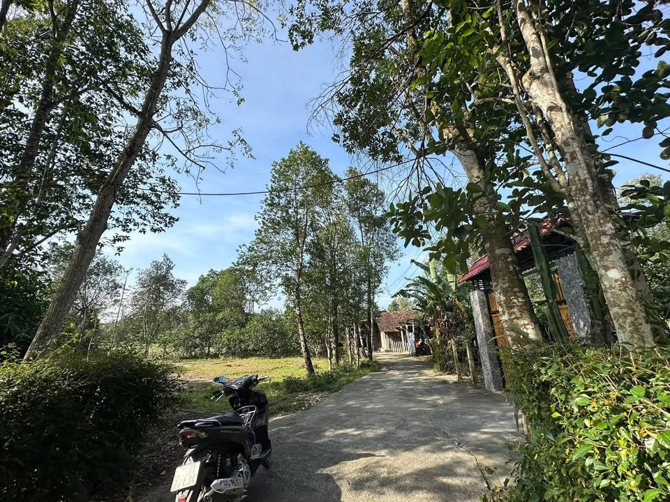 Bán đất vườn 800m² thôn Quang Lộc, xã Phú Gia - Khu dân cư sầm uất!