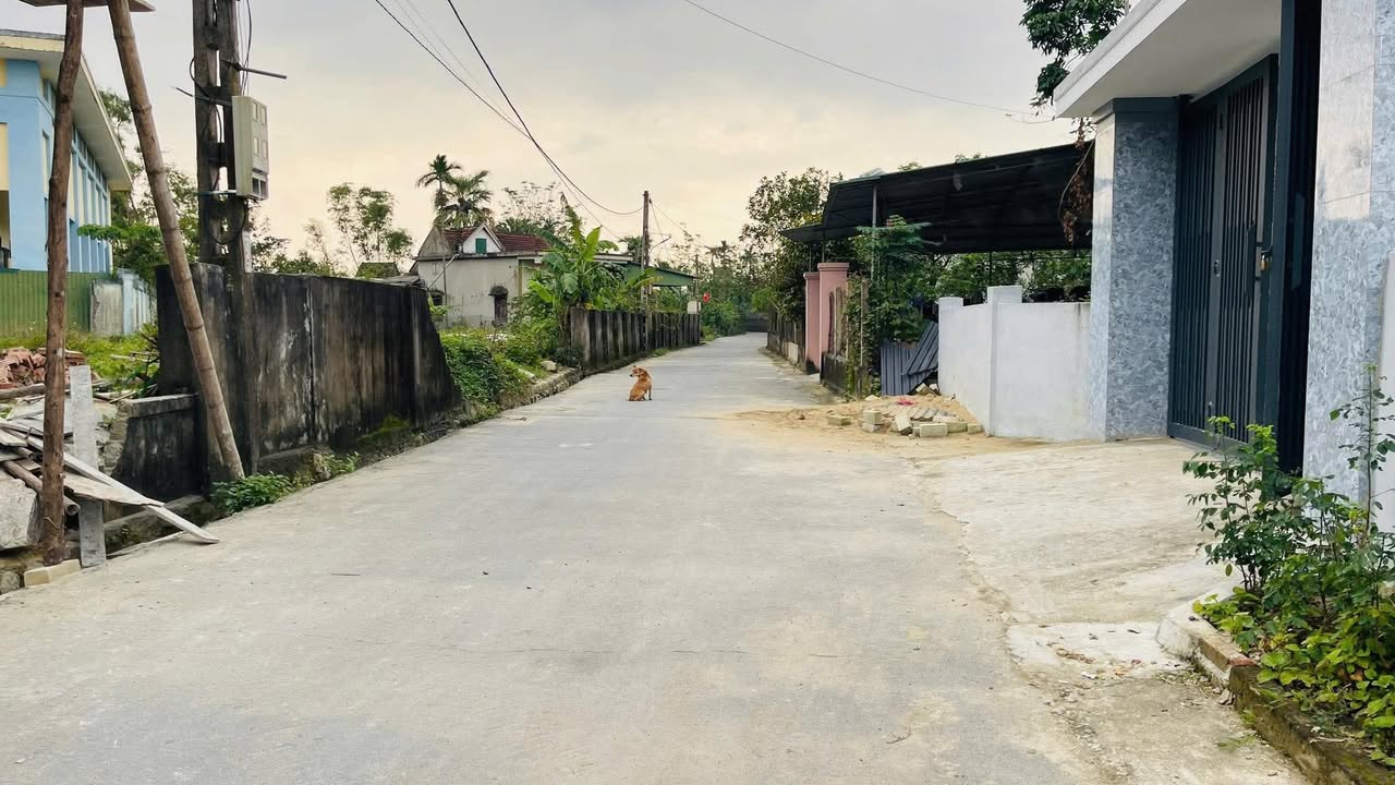 Đất đẹp Thôn Song Hoành, Xã Toàn Lưu 158m² giá 1.55 tỷ - Cơ hội đầu tư tuyệt vời!