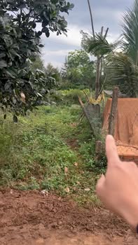 Đất nền Ea Hồ Krông Năng 280m² giá thỏa thuận - Cơ hội vàng cho đầu tư!