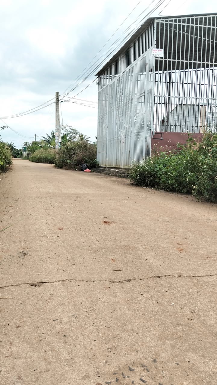 Đất nền tại đường Nguyễn Tri Phương Nối Dài, Buôn Ma Thuột 126m² giá 1.98 tỷ - Cơ hội đầu tư hấp dẫn!