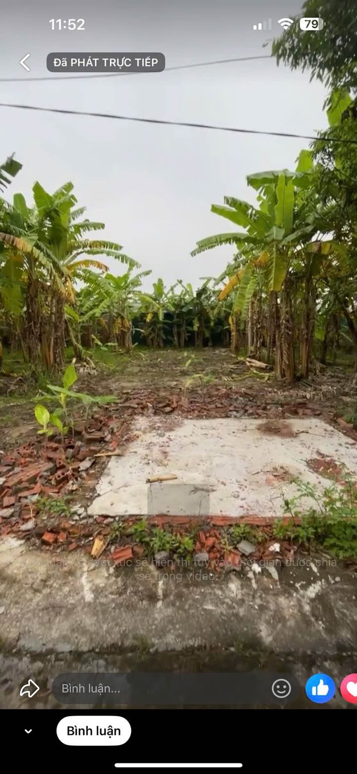 Đất nền Liên Mạc, Thanh Hà 130m² giá chỉ 600 triệu - Cơ hội đầu tư tốt!