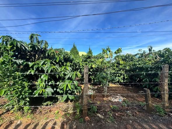 Đất thổ cư Hiệp Thạnh 75m² giá 1.1 tỷ - Đầu tư sinh lời ngay!