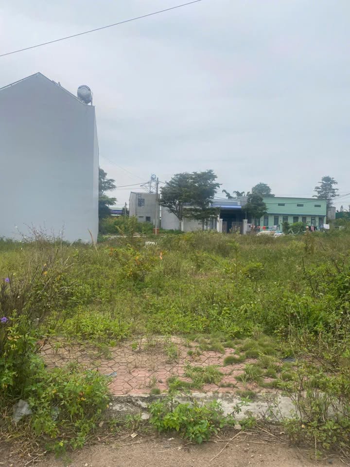 Đất nền đẹp Phú Hội 117m² giá 2 tỷ - Đường nhựa 10m thông thoáng!