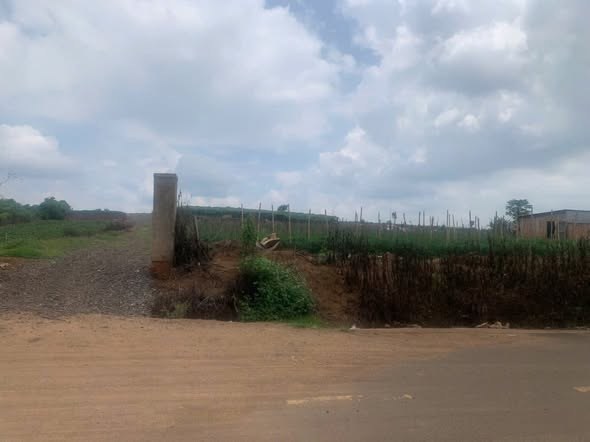 Đất nền liền kề Phú Hội, Đức Trọng 1000m² giá 3.07 tỷ - Đầu tư sinh lời ngay!