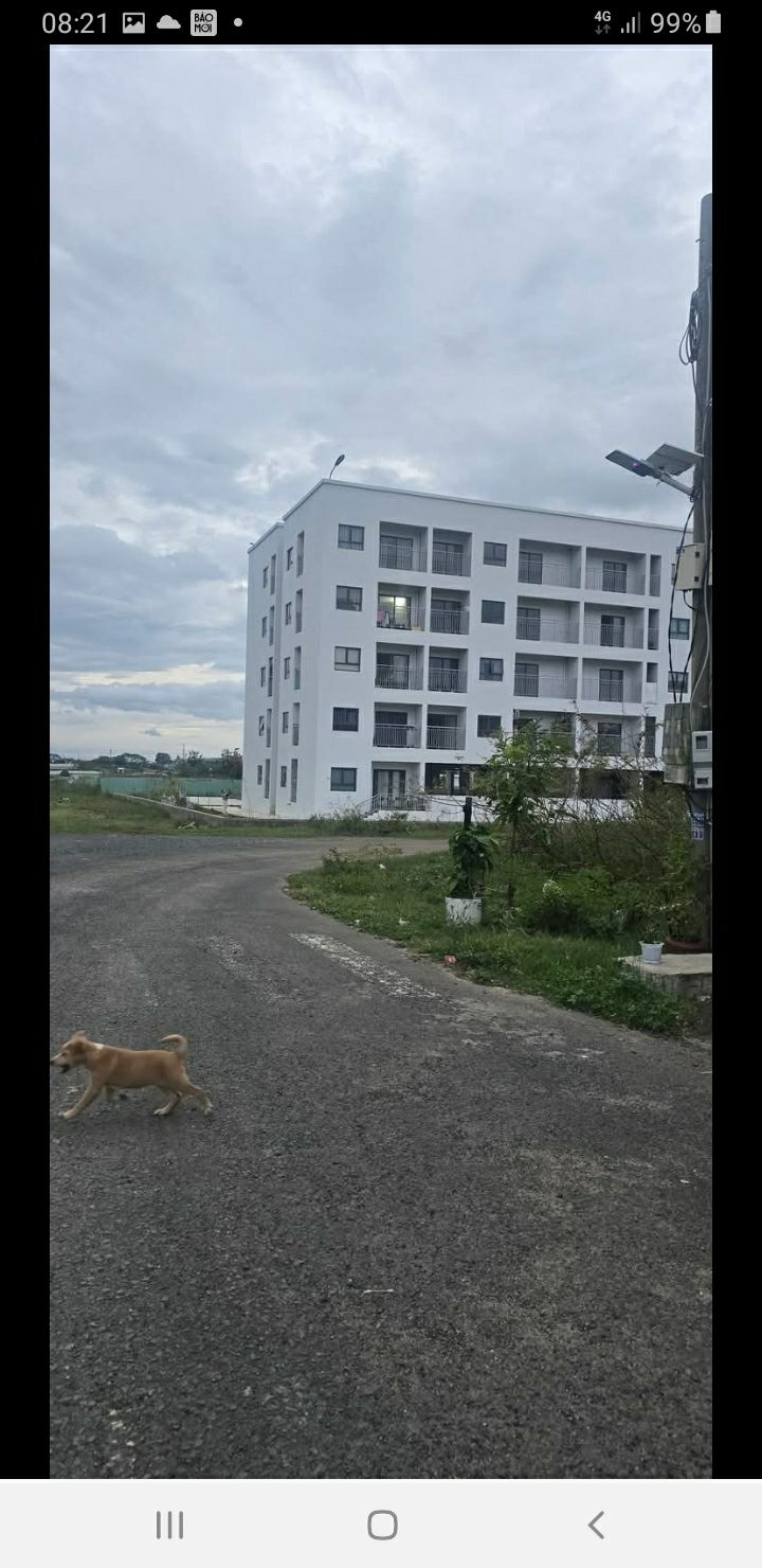 Đất nền Khu công nghiệp Phú Hội 100m² giá 870 triệu - Đầu tư sinh lời ngay!