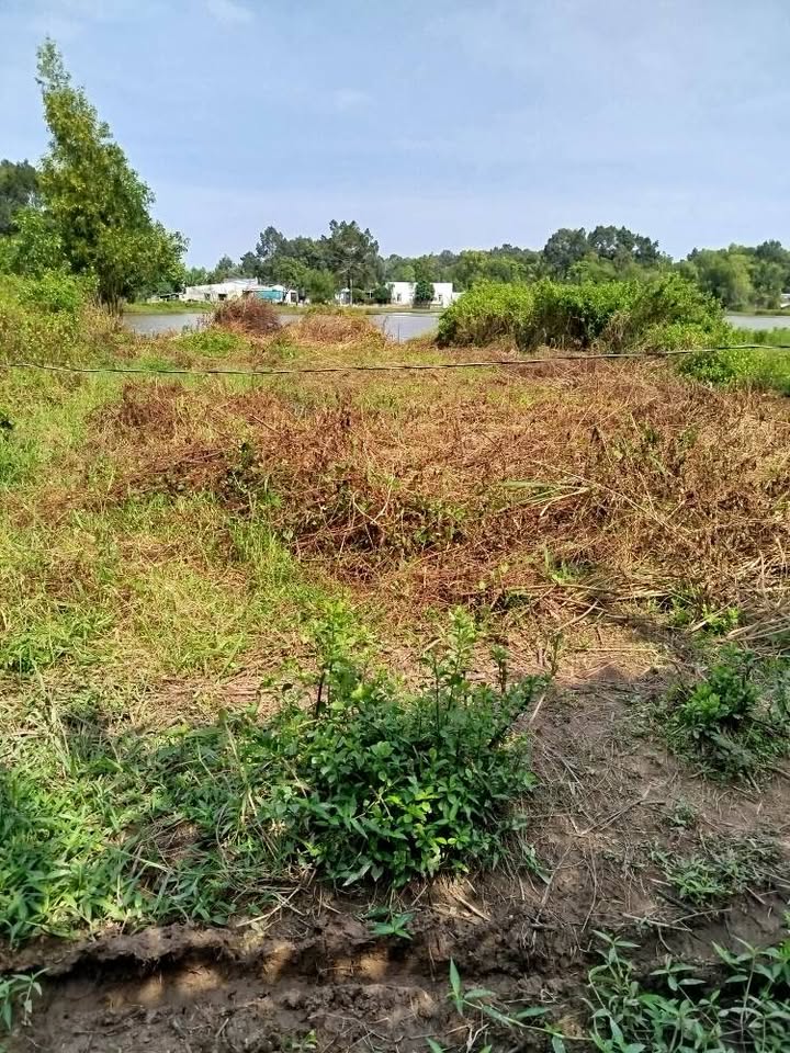 Đất nền hẻm 56 Dương Công Nữ, 300m² giá chỉ 680 triệu - Đầu tư sinh lời ngay!