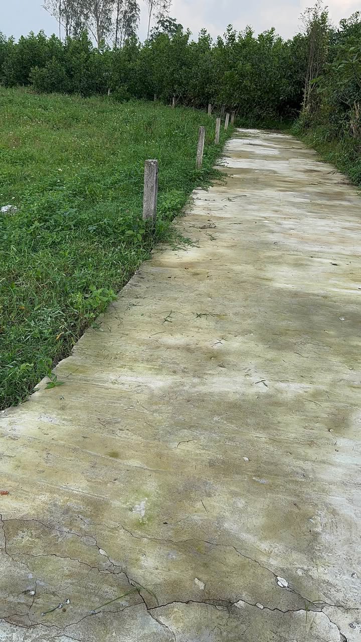 Đất nền xã Ba Gia, huyện Sơn Tịnh, Quảng Ngãi 687m² giá 4 tỷ - Đầu tư sinh lời ngay!