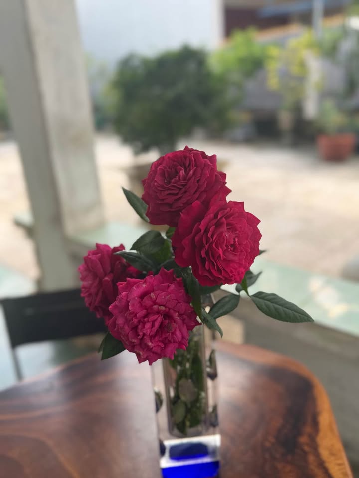 Đất nền An Phú Quảng Ngãi 140m² giá 600 triệu - Cơ hội đầu tư hấp dẫn!