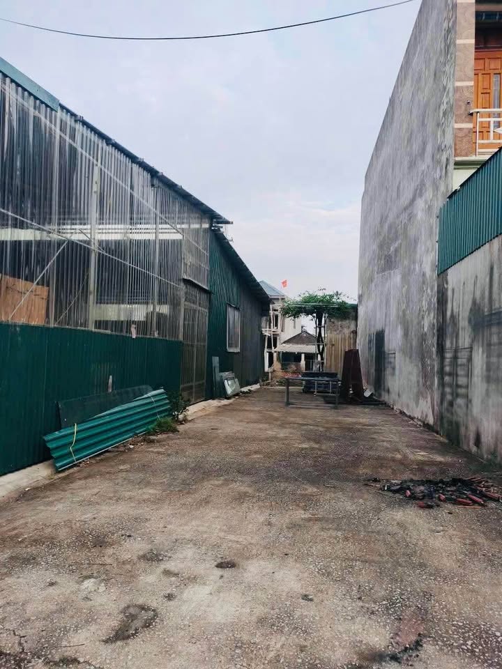 Đất nền mặt đường Ngô Quyền, Quảng Cư, 100m² giá 1 tỷ - Cơ hội đầu tư sinh lời!