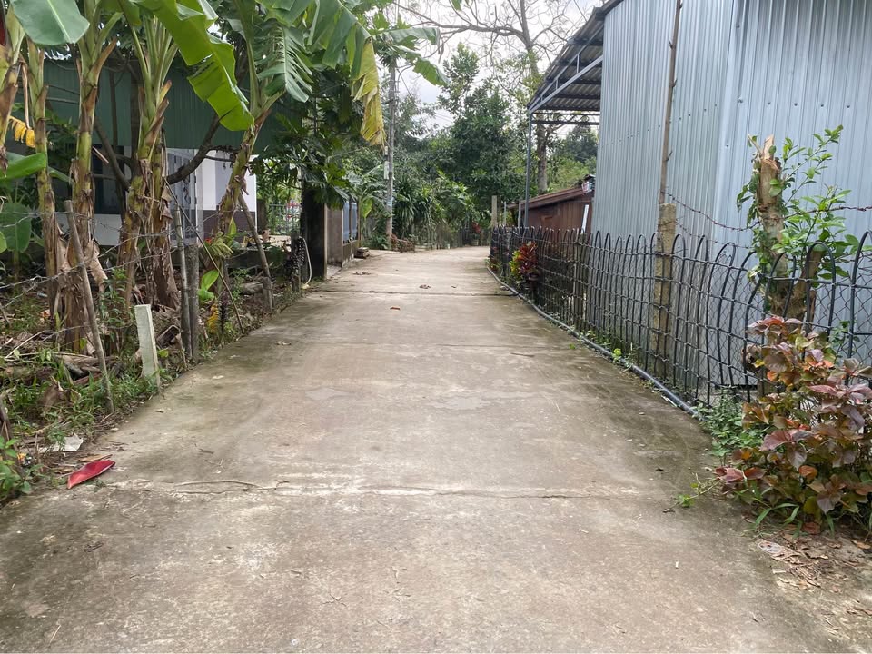 Đất nền Hòa Khánh 150m² giá 1.6 tỷ - Vị trí thuận lợi, dân cư đông đúc