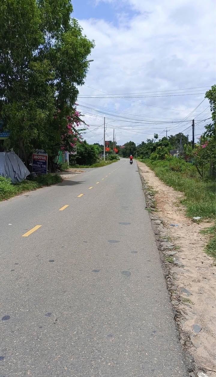 Đất cây trồng lâu năm Mũi Né 1005m² giá 3 tỷ - Sổ hồng chính chủ!