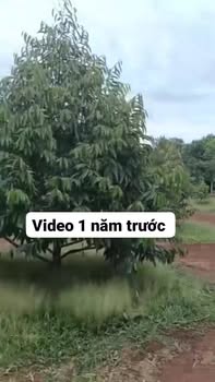 Đất 2,8 sào mặt đường nhựa ĐT312, giá chỉ 1,3 tỷ - Đầu tư sinh lời ngay!