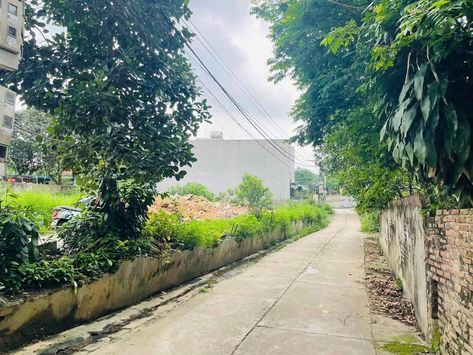 Đất thổ cư Phú Xá Thái Nguyên 82m² giá chỉ 1 tỷ - Đường ô tô tránh nhau!