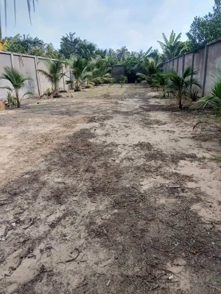 Đất mặt tiền Quốc Lộ 1A, Châu Thành, Tiền Giang 558m² - Sổ đỏ chính chủ, giá tốt!