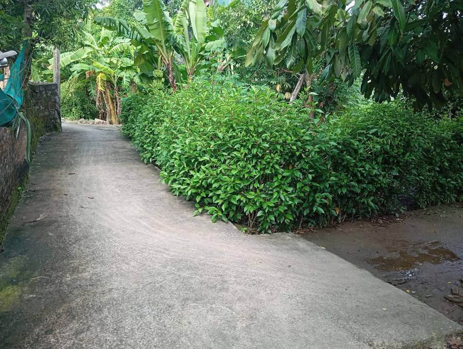 Lô đất 2 mặt tiền phường Liêm Chính, TP Phủ Lý 117m² - Hướng Đông & Nam đẹp mê ly!