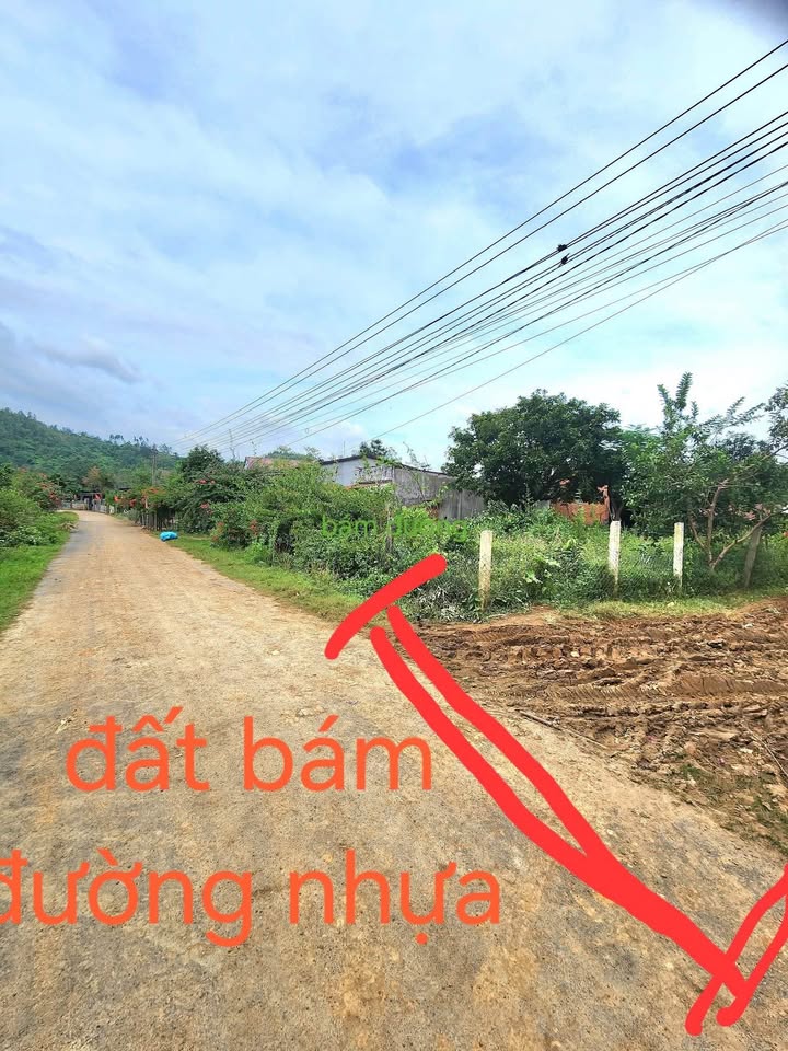 Đất nền Krông Bông 20.000m² giá chỉ 5.4 tỷ - Tiềm năng đầu tư hấp dẫn!