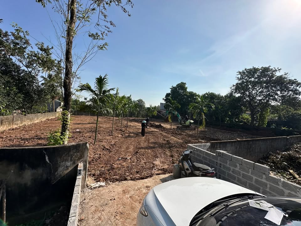 Đất nền Hòa Mạc Duy Tiên 1500m² - Cơ hội đầu tư hiếm có!