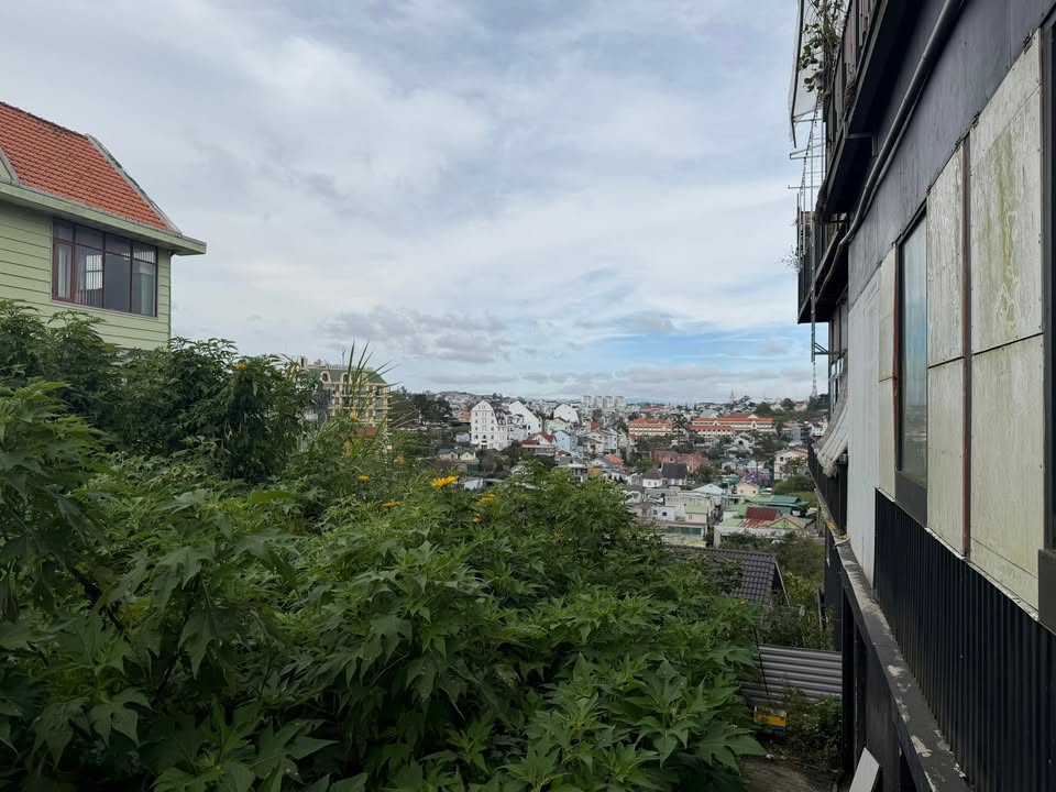 Đất mặt tiền đường 3/4 phường 3 Đà Lạt 419m² giá 48 tỷ - Vị trí đắc địa chờ đón cơ hội đầu tư!