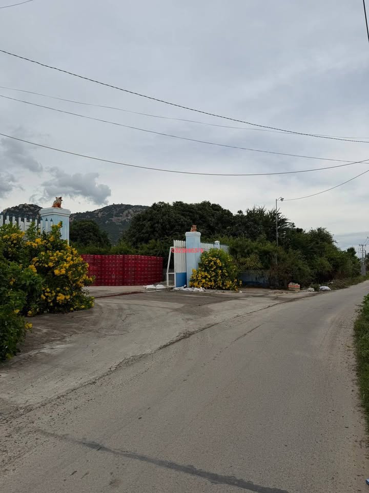 Đất vườn khu phố Cà Đú, thị trấn Khánh Hải, 597m² giá 1.7 tỷ - Chính chủ bán gấp!