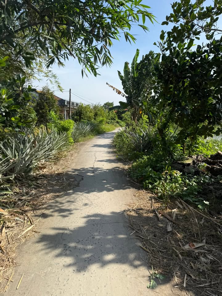 Đất thổ cư 2000m² tại xã Thiện Trung, Cái Bè - Giá 1.33 tỷ, sẵn sàng cho nhà nghỉ dưỡng!