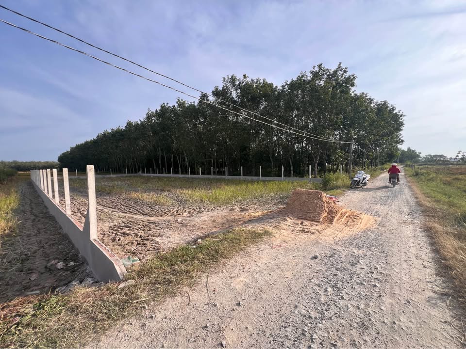 Đất nền ấp Phước Hoà, xã Phước Thạnh 1000m² giá 1.38 tỷ - Đầu tư sinh lời ngay!