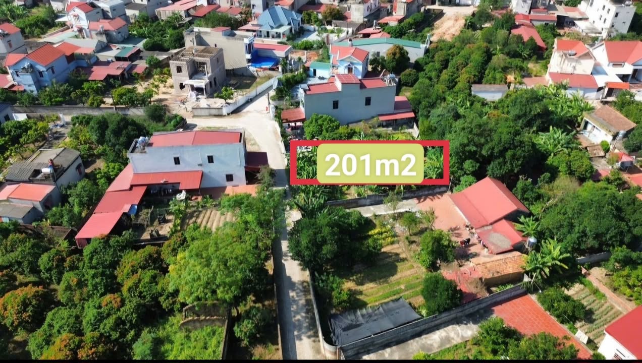 Đất thổ cư Lục Nam 201m² giá thỏa thuận - Mặt tiền 7.5m, cơ hội đầu tư tuyệt vời!