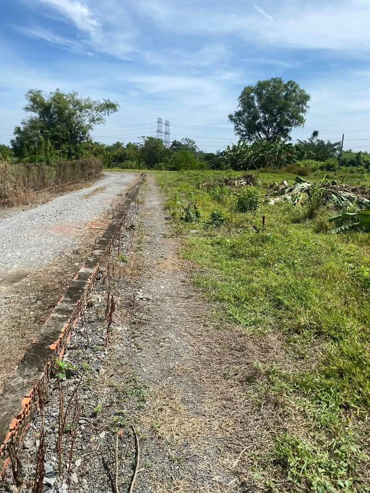 Đất nền ấp Bình Thủy, Hòa Khánh Đông 135m² giá 599 triệu - Đầu tư sinh lời ngay!