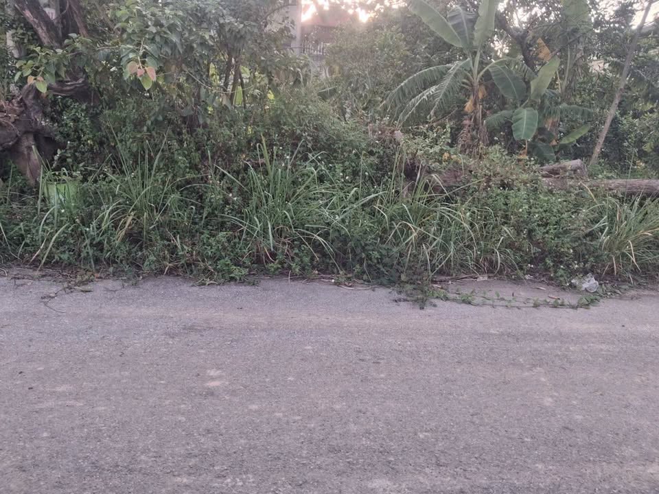 Đất thổ cư 125m² giá 930 triệu tại Đông Tiến - Cơ hội đầu tư tuyệt vời!