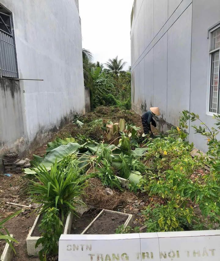 Đất nền tại Khu Dân Cư Hiệp Hòa Phát, Bến Tre 94m² giá 1.65 tỷ - Cơ hội đầu tư tuyệt vời!