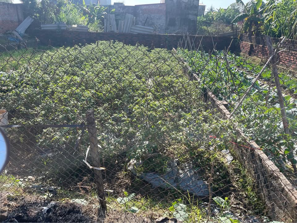 Đất nền Quang Tiến, Sóc Sơn 64m² giá 2.1 tỷ - Đường ô tô tránh, tiềm năng phát triển!