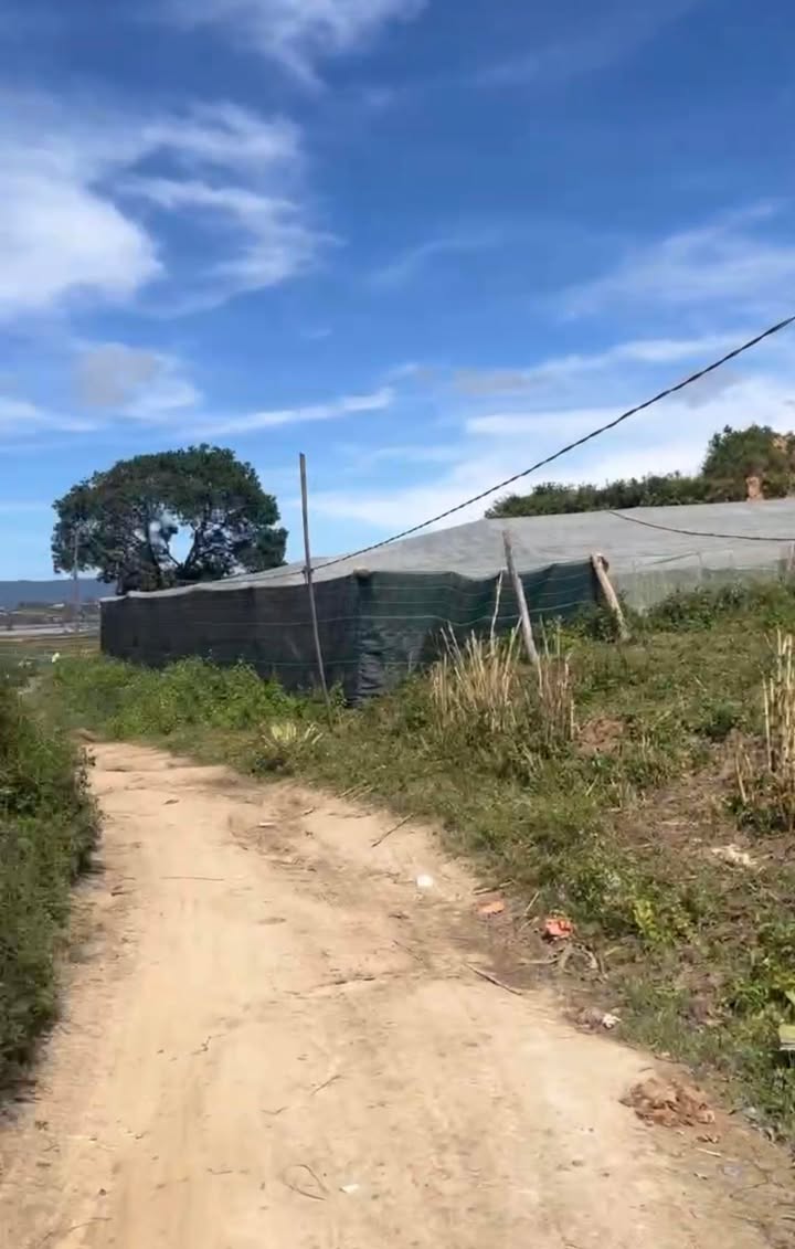 Đất nền Quảng Lập 1,8 sào giá chỉ 380 triệu - Đầu tư sinh lời ngay!