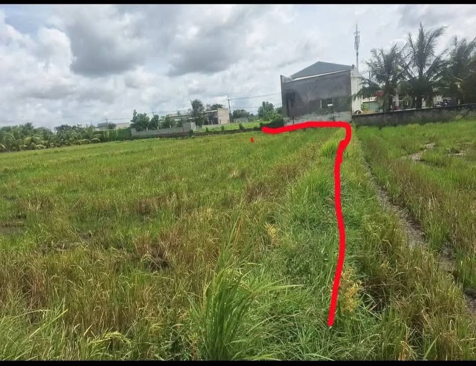 Đất vườn 700m² tại ấp Xóm Mới, Củ Chi - Giá chỉ 570 triệu VND!