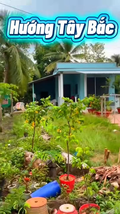 Đất thổ cư Phong Điền, Cần Thơ 93m² giá 650 triệu - Cơ hội đầu tư hấp dẫn!