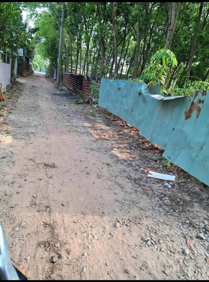 Đất nền An Điền Bến Cát 350m² giá 1.6 tỷ - Cơ hội đầu tư sinh lời!