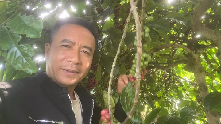 Đất Farm Bảo Thuận Di Linh 9000m² giá 2.547 tỷ - Cơ hội đầu tư sinh lời!