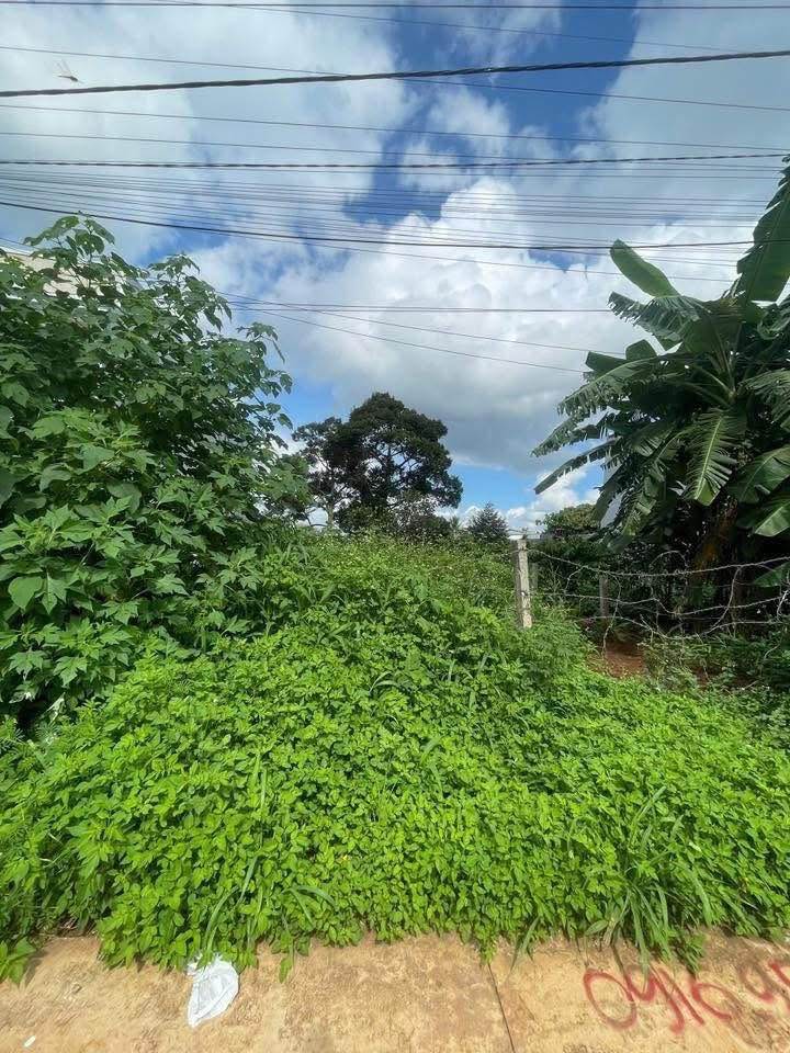 Đất mặt tiền hẻm 128 Đồng Khởi, Tân Lợi 180m² giá 4.5 tỷ - Đầu tư sinh lời ngay!