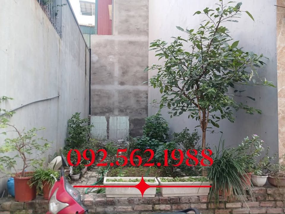Đất nền Việt Hưng Long Biên 56m² - Đầu tư sinh lời, giá tốt!