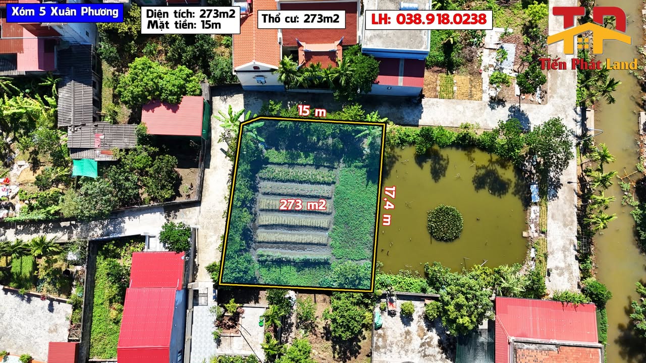 Đất thổ cư 273m² tại xóm 5 Xuân Phương, Xuân Trường - Giao thông thuận lợi!