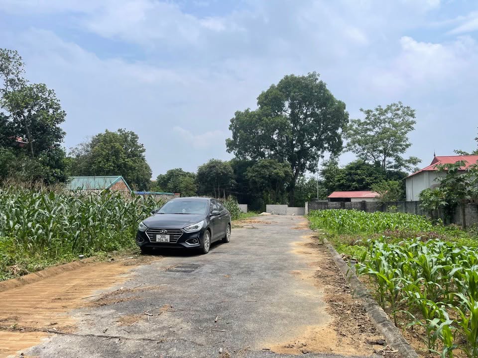 Đất nền Cổ Đông, Sơn Tây 113m² giá 2 tỷ - Chính chủ bán gấp!