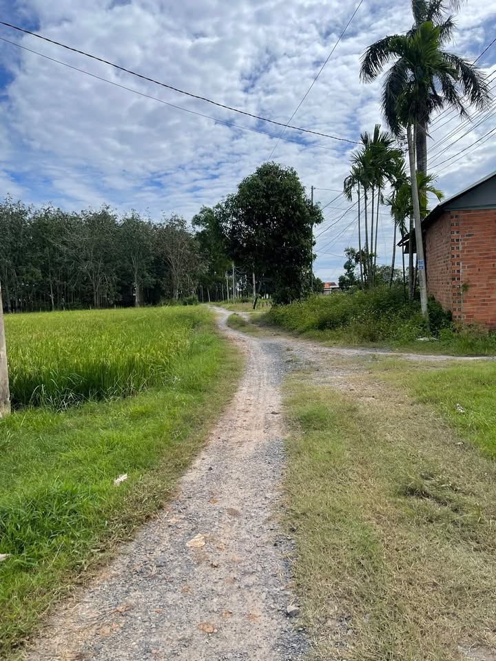 Đất thổ cư An Tịnh, Trảng Bàng 597m² giá 700 triệu - Cơ hội đầu tư tốt!