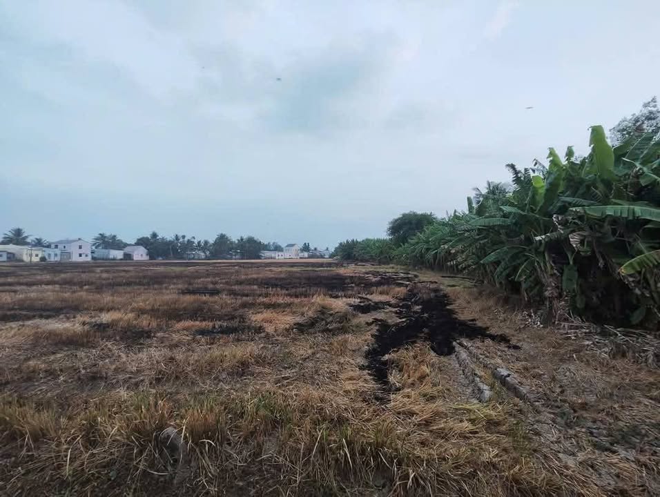 Đất nền mặt tiền Kênh Dãy Ốc, Rạch Giá 1450m² - Đầu tư sinh lời cao!