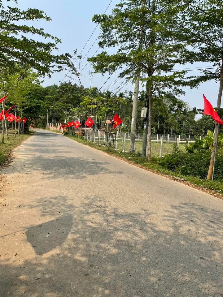 Lô nhà vườn Bà Nà Đà Nẵng 800m² giá chỉ 3 tỷ - Đầu tư sinh lời!