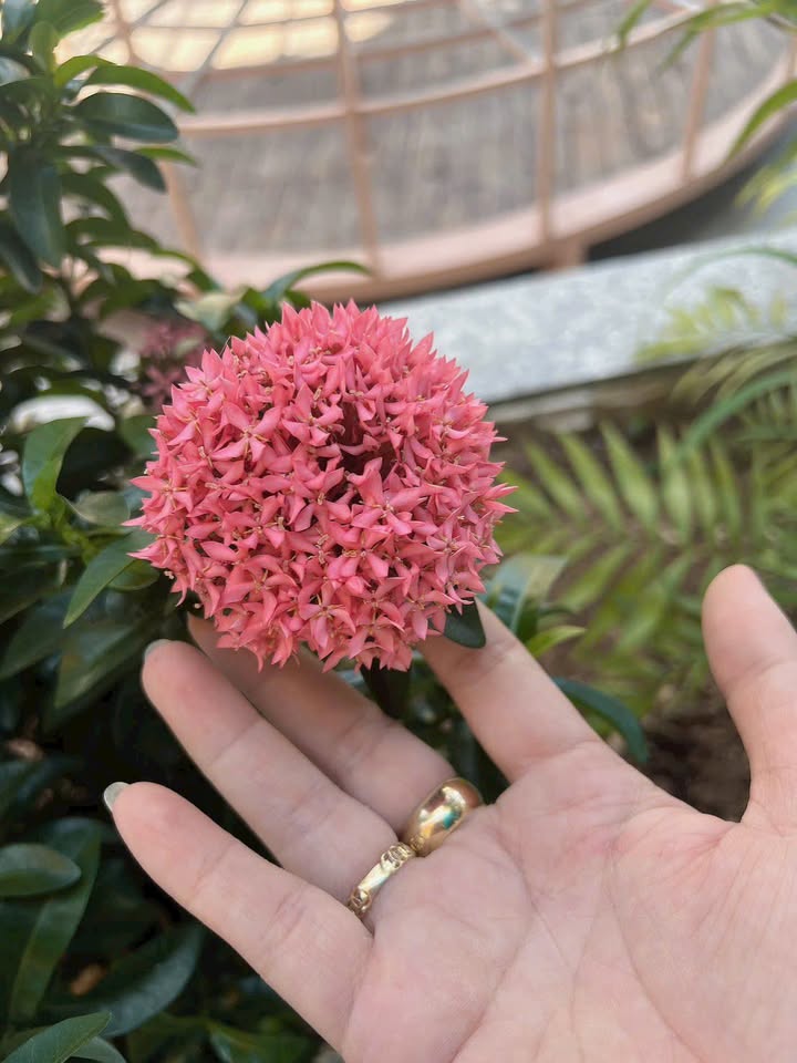 Đất nền đẹp hẻm 22 Ngô Quyền, Long Hoa, 142m² - Gía chỉ 3.997 tỷ!