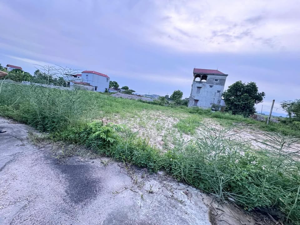 Đất nền chính chủ tại Đồng Phúc, Yên Dũng 160m² - Giá chỉ từ 1 tỷ VND